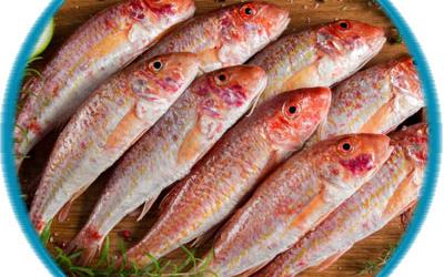 Ιχθυοπωλείο